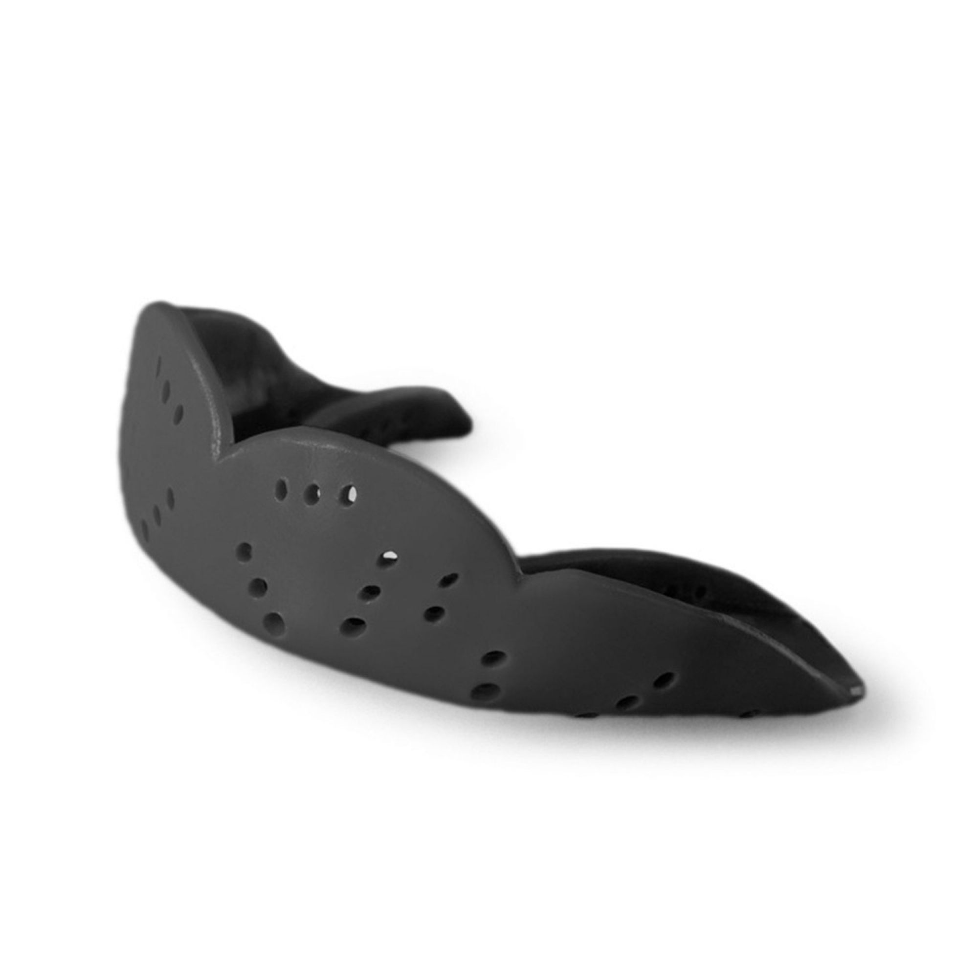 Sisu Aero Large tannbeskytter